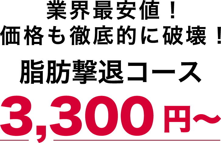 業界最安値！価格も徹底的に破壊!脂肪撃退コース3,300円〜